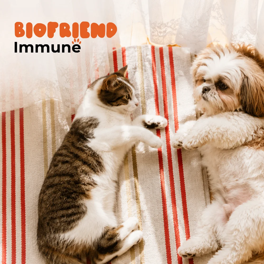 C�es e Gatos Biofriend