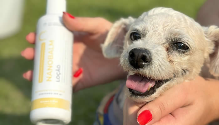 Cachorro no colo com tutor com Nanobalm nas m�os