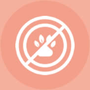 Vegano e cruelty-free