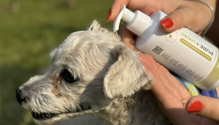 Cachorro no colo com tutor com Pure Lo��o nas m�os