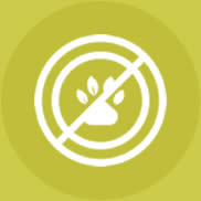 Vegano e cruelty-free