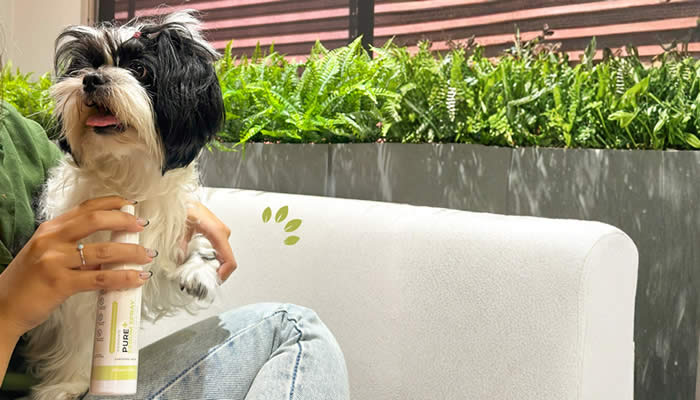 Shih Tzu e Pure+ S�rum Hidratante