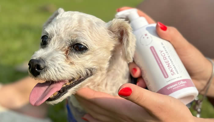 Cachorro no colo com tutor com Skinergy Hidratante nas m�os