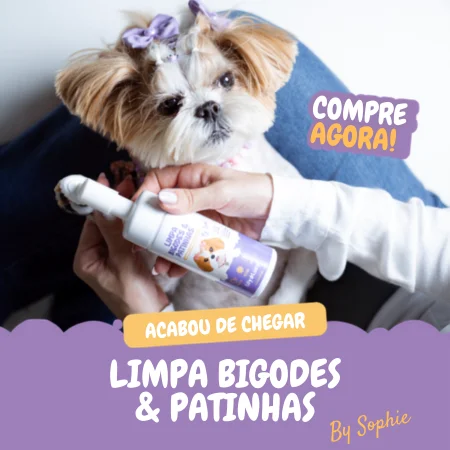 Lan�amento