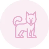 Pele vermelha e irritada